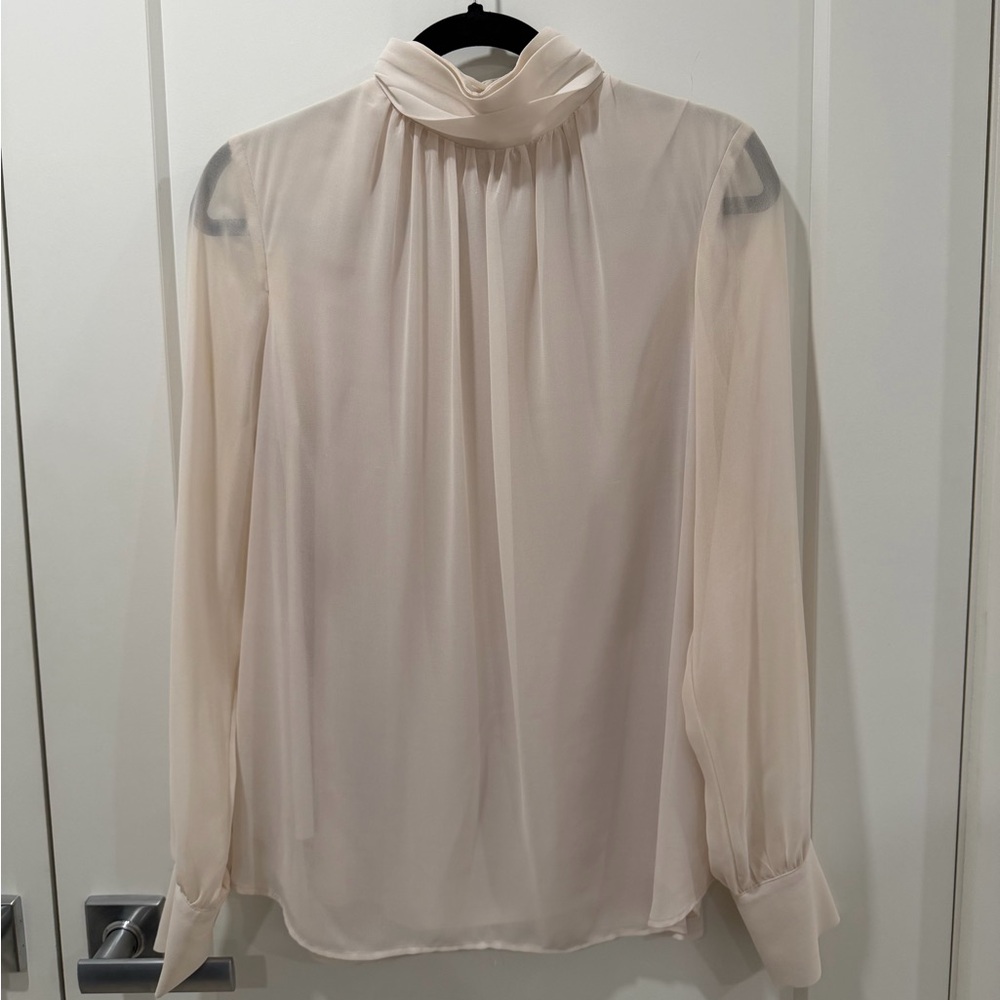 Iris Setlakwe Sheer Gathered Blouse with Mock Neck